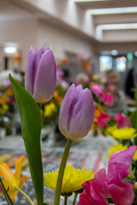 フラワーアレンジメント