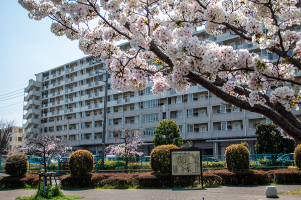 南大谷都営住宅を望む