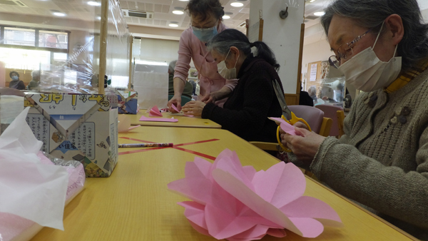 桜開花予想のカード作成のお手伝い