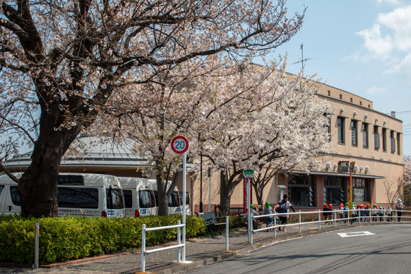 都営住宅側から望む桜実会