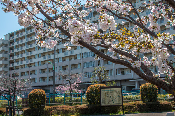 都営住宅外観風景