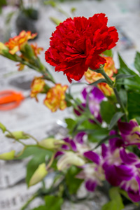 素敵な華どう？