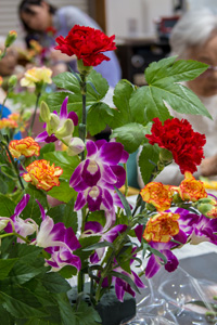 素敵な華どう？